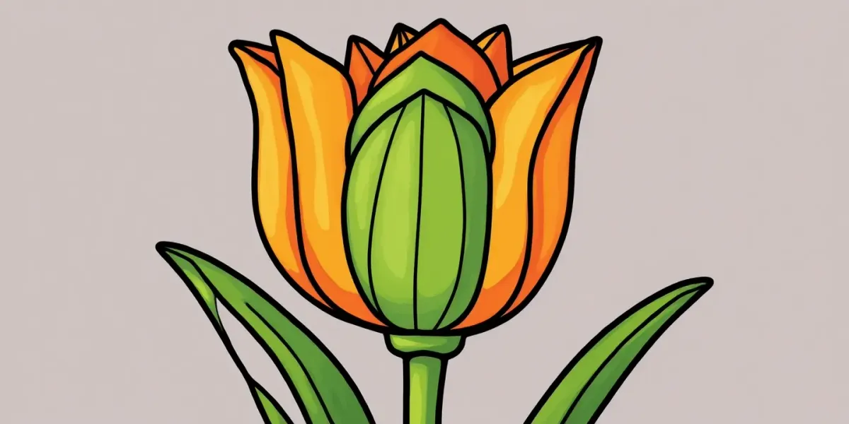 Tulipan