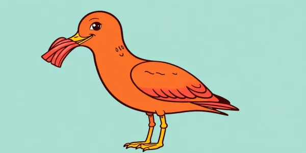 Kostenloses Ausmalbild: Möwe mit Pommes – Ausdrucken & Spaß!