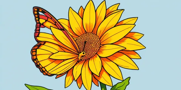 Schmetterling und Sonnenblume