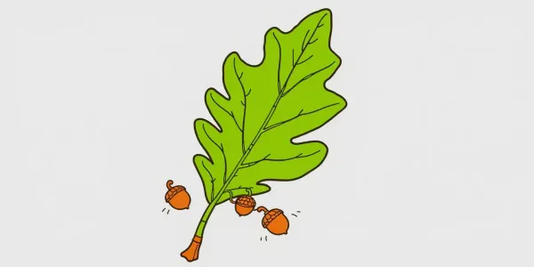 Kostenloses Ausmalbild Herbst-Motiv: Eicheln und Eichenblatt – ideal für Kinder!