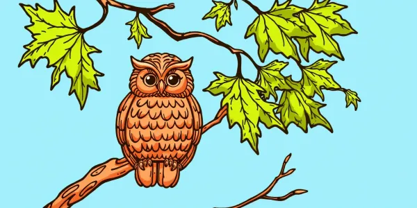 Malvorlage für den Herbst: Eine Eule auf dem Ahorn-Baum