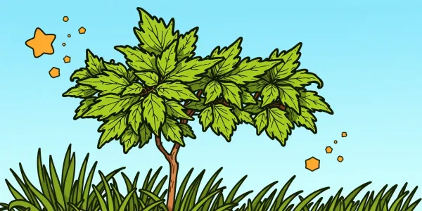 Japanischer Ahorn im Herbst - Ausmalbild für Kinder