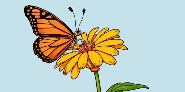Schmetterling und Gänseblümchen